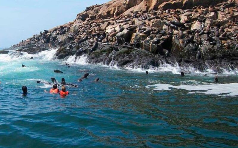 from-lima-palomino-islands