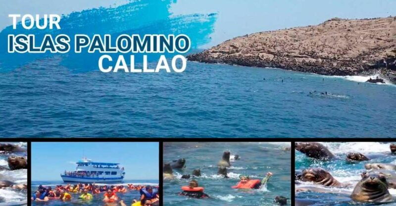 from-lima-palomino-islands