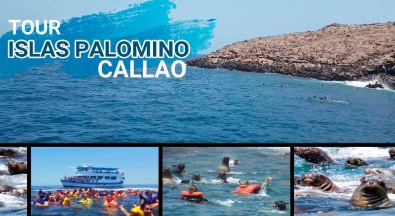from-lima-palomino-islands