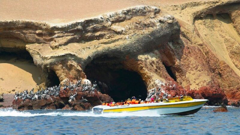 from-lima-paracas-ballestas-island-huacachina-2-day-tour