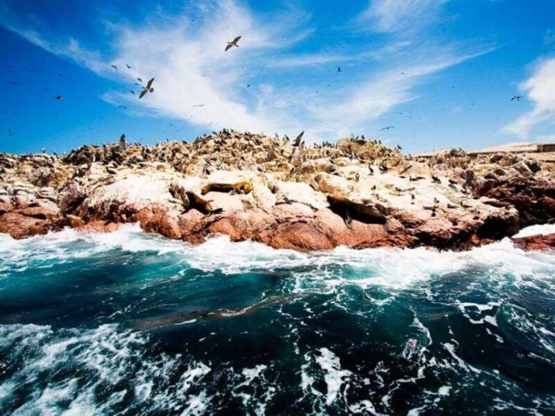 from-lima-tour-to-paracas-huacachina-nazca-2d-1n