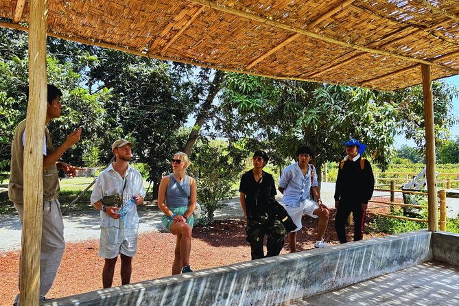 from-lima-tour-to-paracas-huacachina-oasis-with-economic-buggy