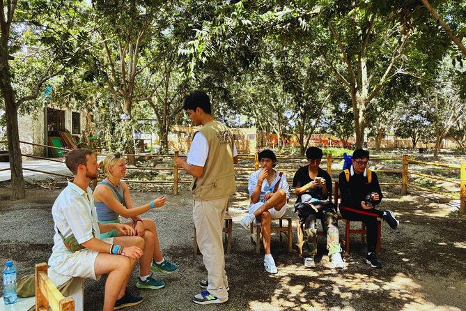 from-lima-tour-to-paracas-huacachina-oasis-with-economic-buggy