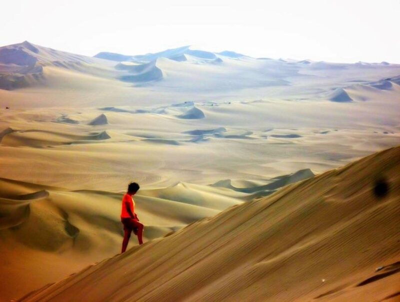 from-limaparacas-ballestas-islands-and-ica-oasis-1-day-tour