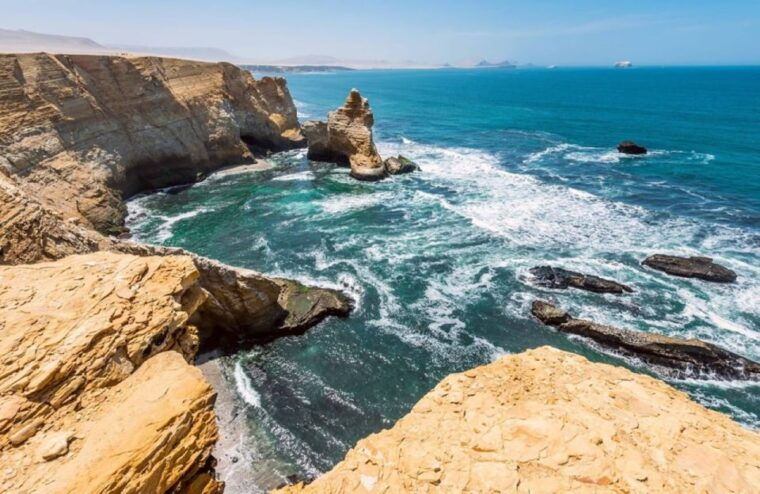 from-limaparacas-ballestas-islands-and-ica-oasis-1-day-tour