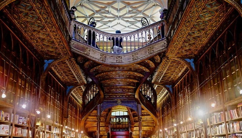 From Lisboa: Porto Private Full Day Tour - Introduction