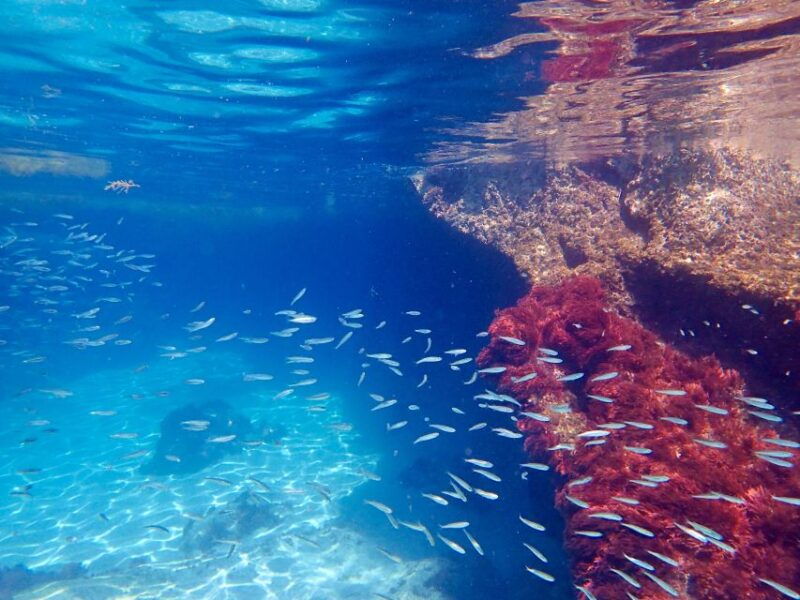 from-lisbon-arrabida-natural-park-kayak-tour-with-lunch
