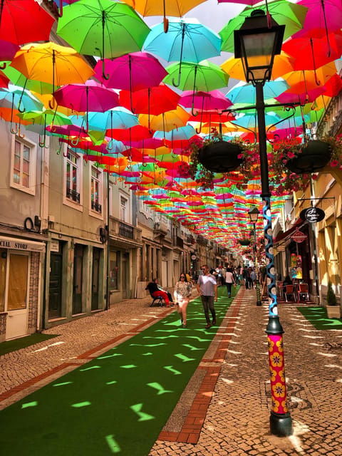 from-lisbon-aveiro-and-coimbra-private-tour