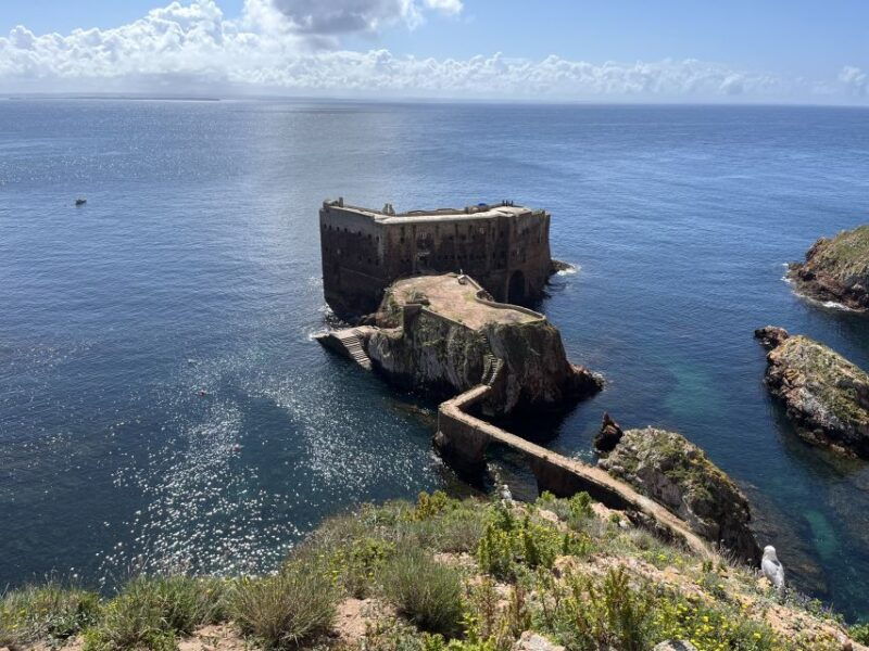 from-lisbon-berlenga-grande-sightseeing-tour
