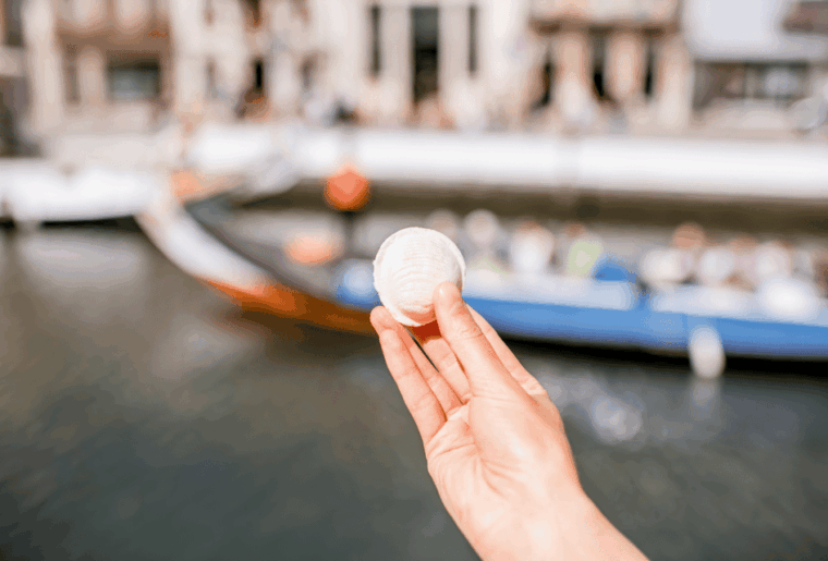 from-lisbon-coimbra-and-aveiro