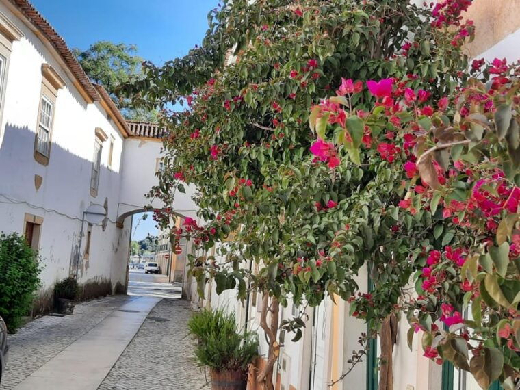 from-lisbon-discover-tomar-in-a-small-group