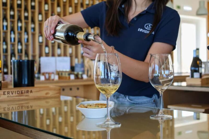 From Lisbon: Évora, Chapel of Bones & Alentejo Wine Tour - Price and Value