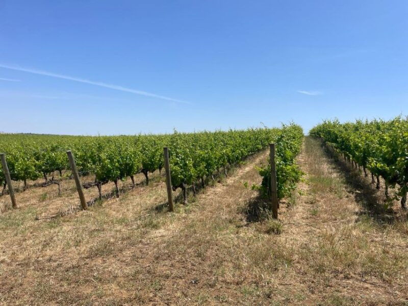 from-lisbon-evora-chapel-of-bones-roman-temple-tour