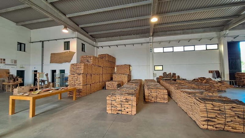 From Lisbon: Évora, Cork & the Hidden Old Town - Who Would Love This Tour?