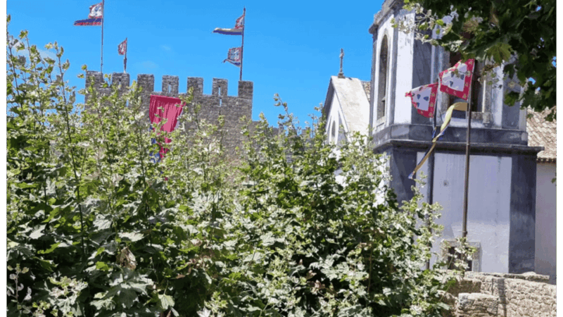 from-lisbon-fatima-aljustrel-and-obidos-day-trip