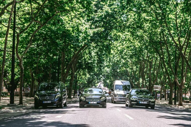 from-lisbon-fatima-nazare-and-obidos-luxury-private-tour