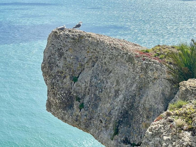 From Lisbon: Fátima, Nazaré & Óbidos Special Van Tour - Final Thoughts