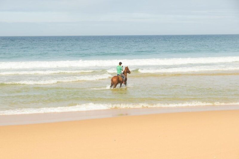 from-lisbon-horseback-riding-on-comporta-beach