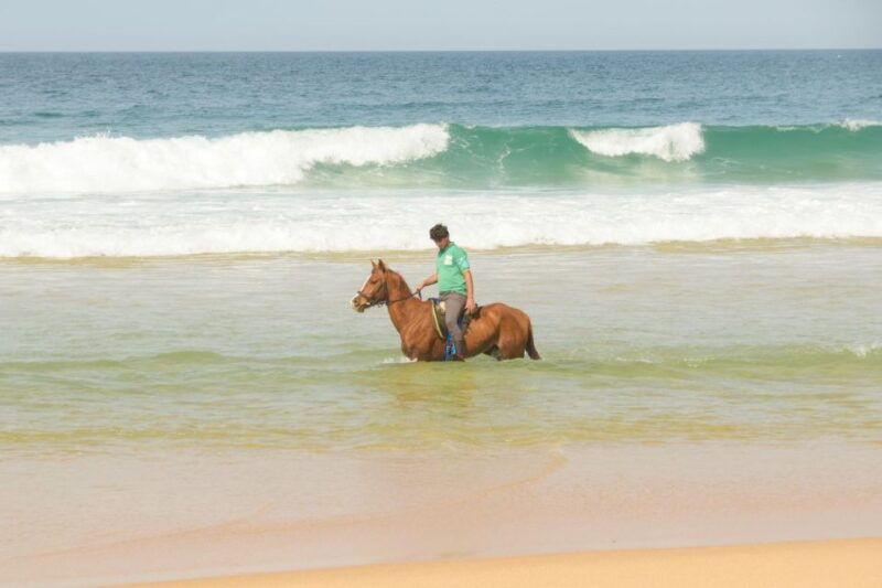 from-lisbon-horseback-riding-on-comporta-beach