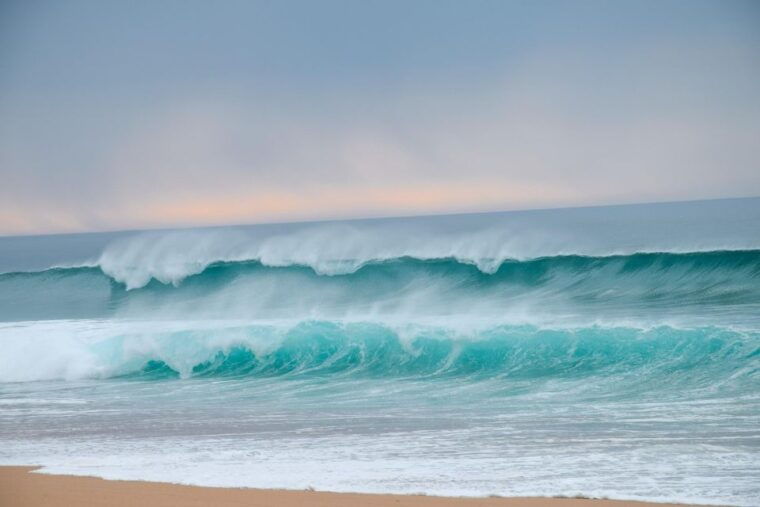 from-lisbon-horseback-riding-on-comporta-beach