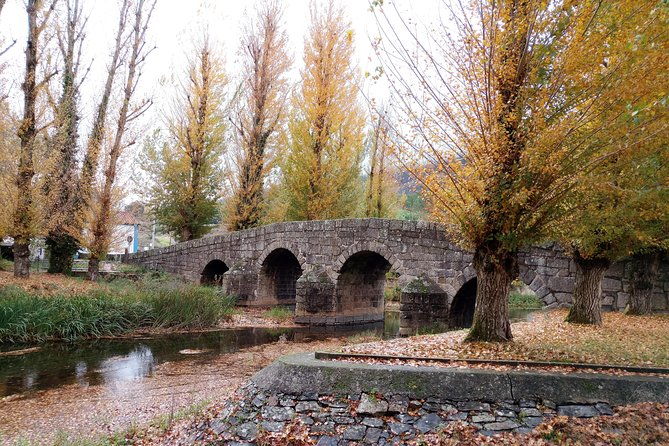 from-lisbon-jewish-sephardic-heritage-essence-private-tour