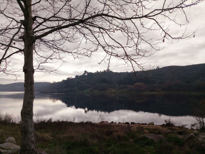 from-lisbon-knights-templar-tomar-private-tour