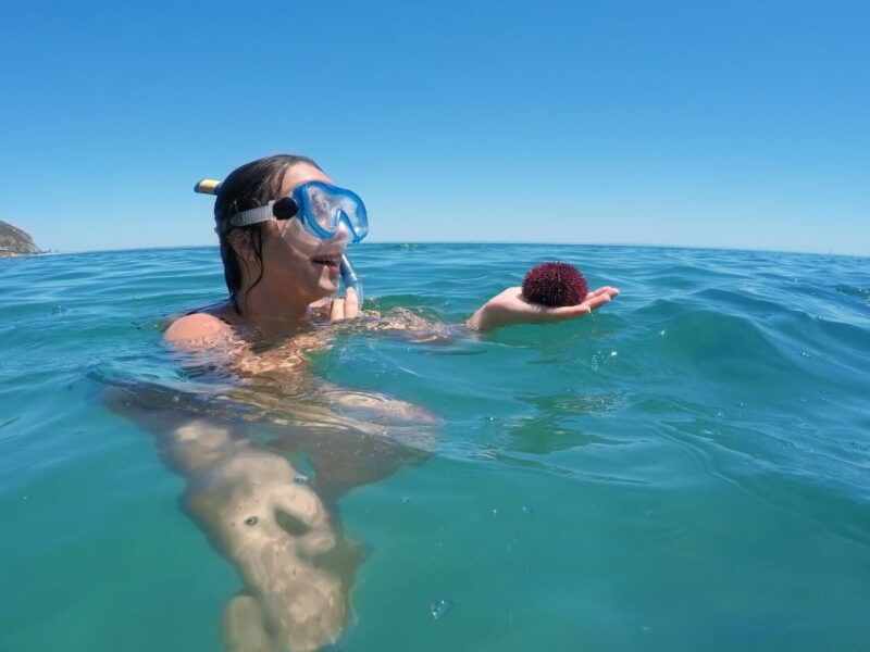 from-lisbon-nature-park-of-arrabida-paddleboarding