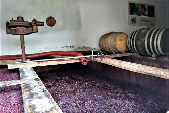 from-lisbon-palmela-setubal-wine-tasting-tour-40kms-from-lisbon