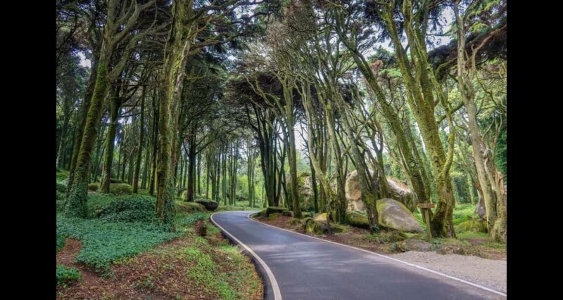 From Lisbon: Pena, Regaleira, Peninha, Adraga & Coastline - Exploring Sintra’s Highlights in Detail