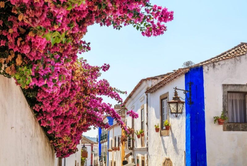 from-lisbon-porto-aveiro-passionate-portugal-3-day-tour