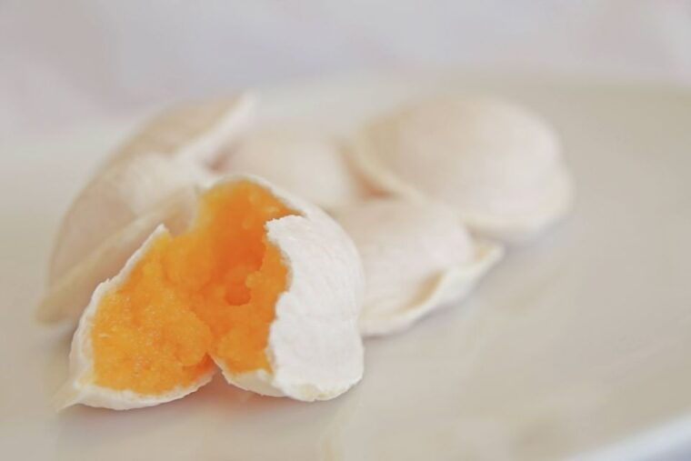 from-lisbon-private-aveiro-and-ilhavo-full-day-tour