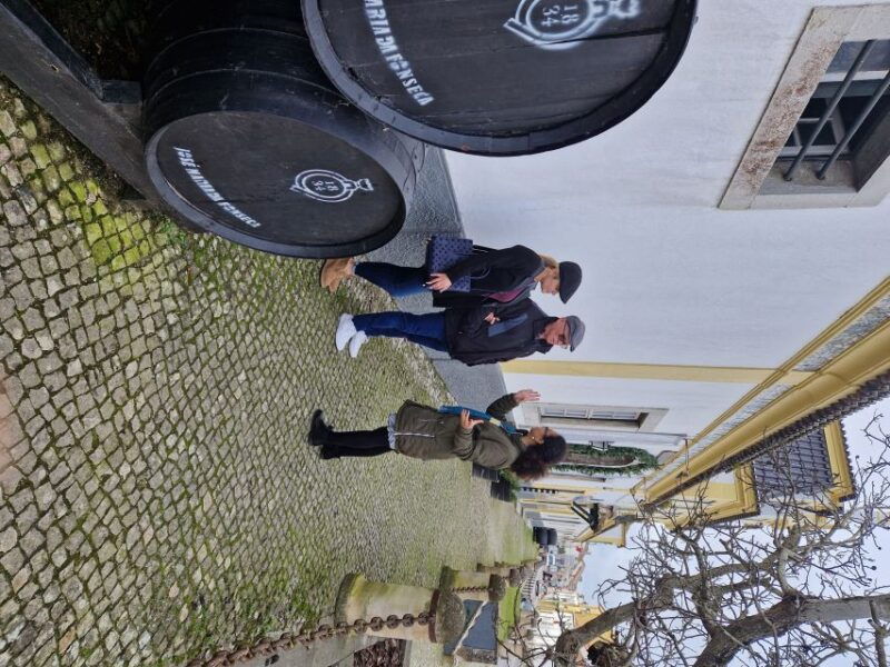 from-lisbon-private-day-trip-to-sintra-with-guide