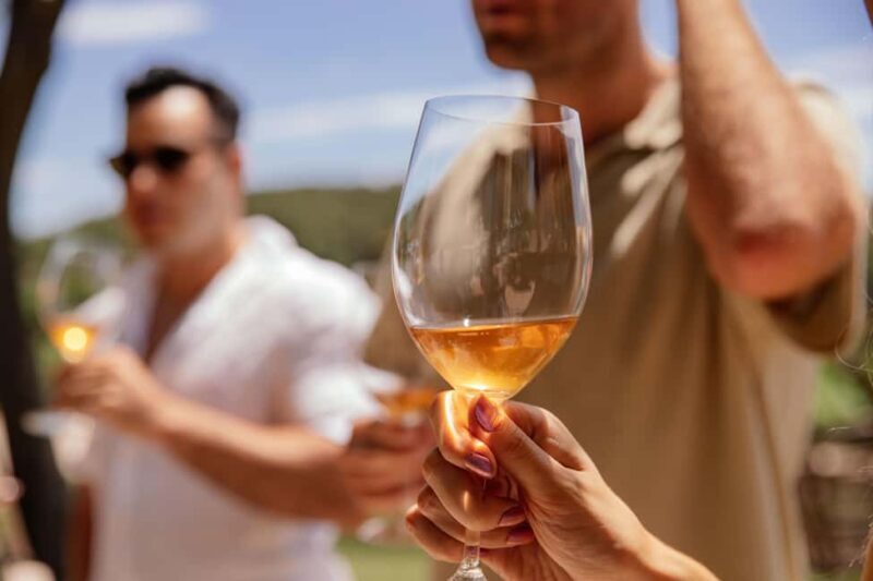 From Lisbon: Private Horseback Riding and Wine Tasting Tour - An In-Depth Look at the Experience