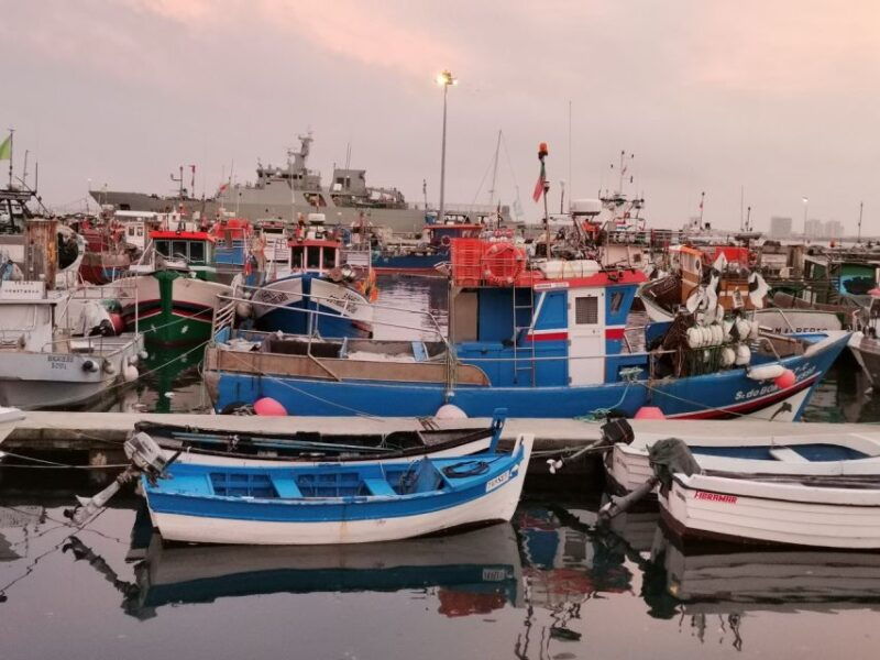 from-lisbon-private-wine-tour-with-setubal-arrabida