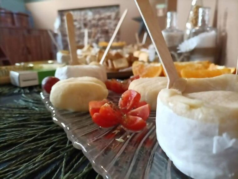 from-lisbon-private-wine-tour-with-setubal-arrabida