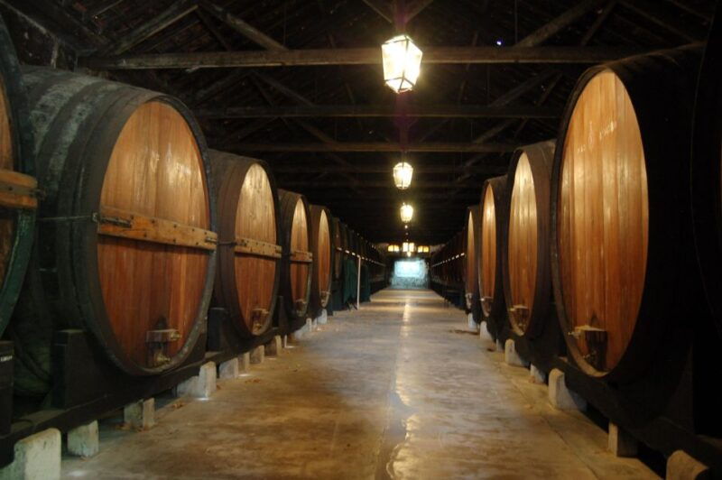 from-lisbon-private-wine-tour-with-wine-cheese-tasting