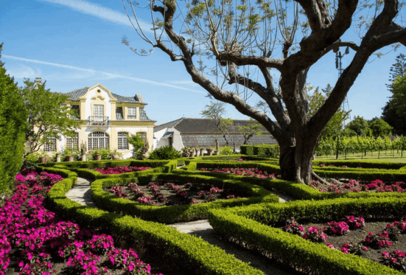 from-lisbon-serra-da-arrabida-and-setubal-wines