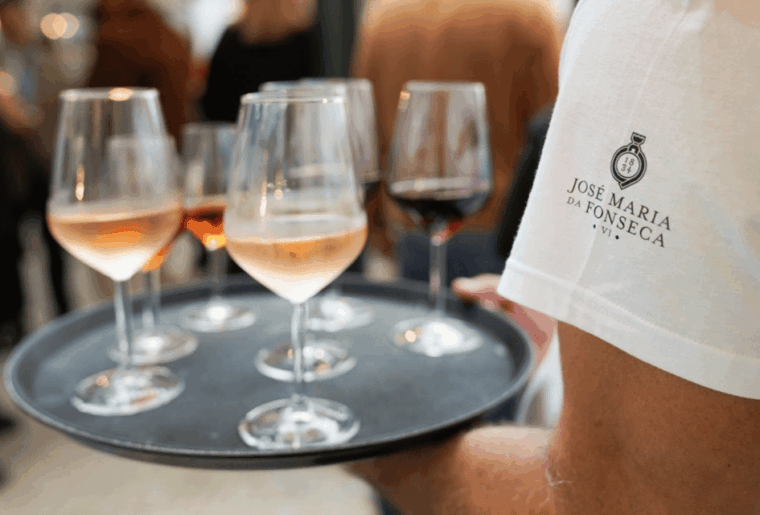 from-lisbon-serra-da-arrabida-and-setubal-wines