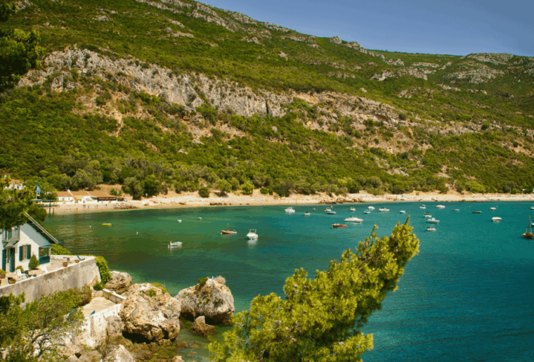 from-lisbon-serra-da-arrabida-and-setubal-wines