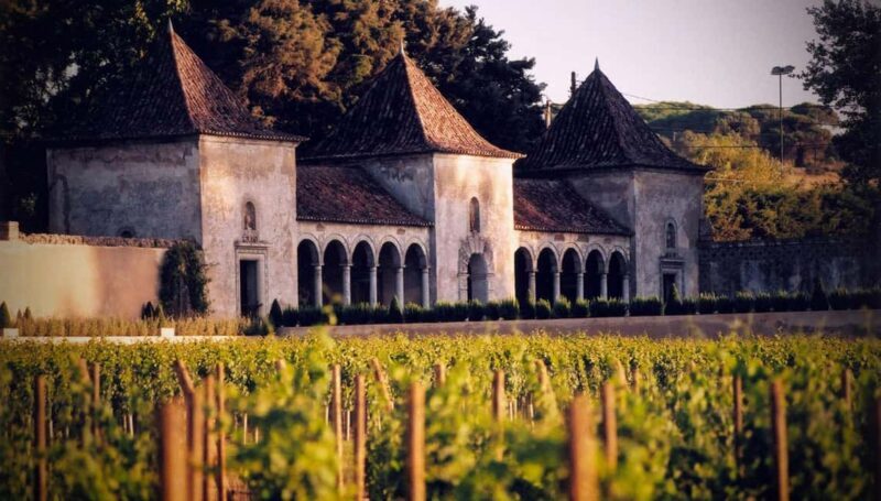 From Lisbon: Serra da Arrábida, Sesimbra, and Setúbal Wines - What to Expect: A Day of Contrasts and Connections