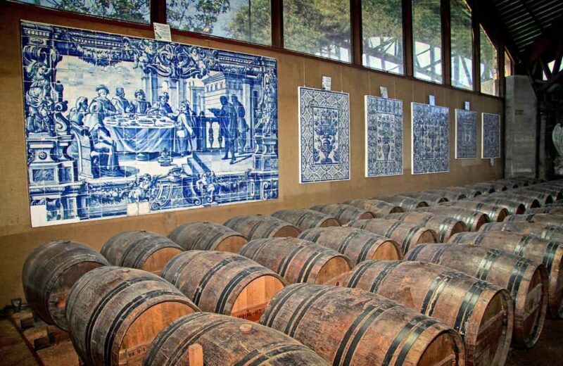 From Lisbon: Serra da Arrábida, Sesimbra, and Setúbal Wines - Authentic Insights from Past Travelers