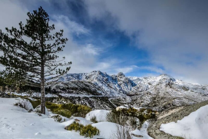 From Lisbon: Serra da Estrela Day Trip with Guide - Why Choose the Serra da Estrela Day Trip?