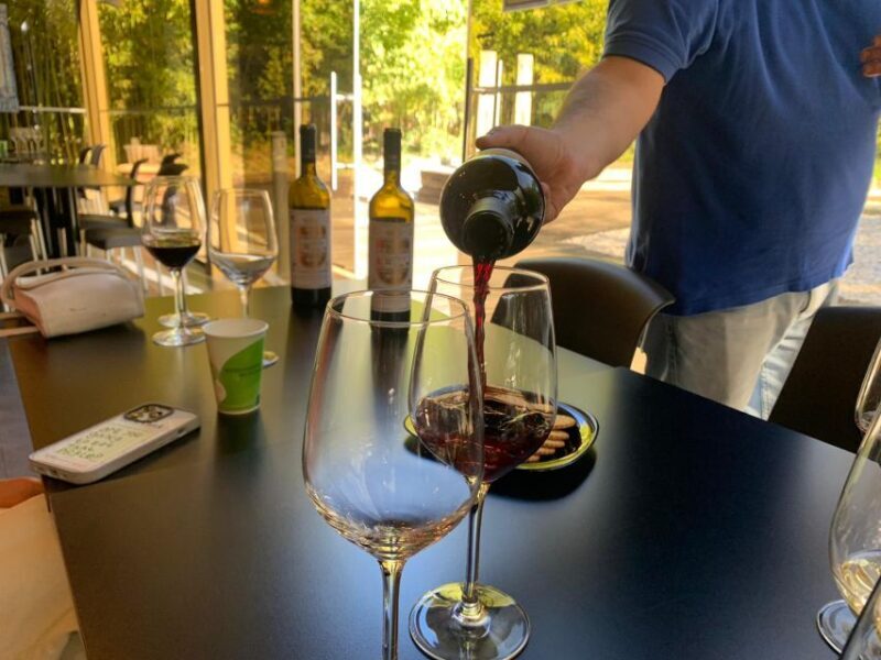 From Lisbon: Setúbal & Arrábida Wine Tour with Lunch - Key Points  