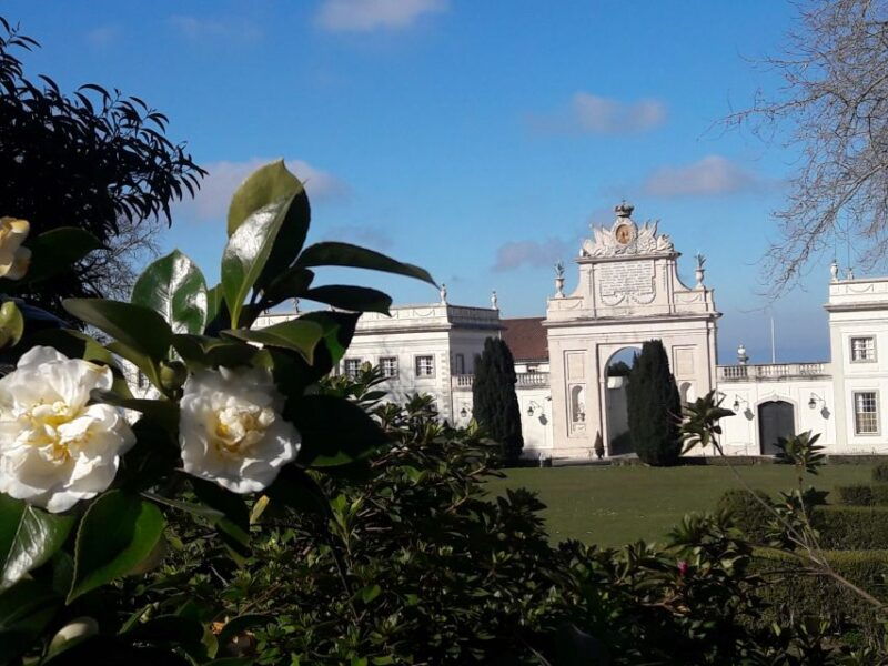 from-lisbon-sintra-cascais-private-tour-2