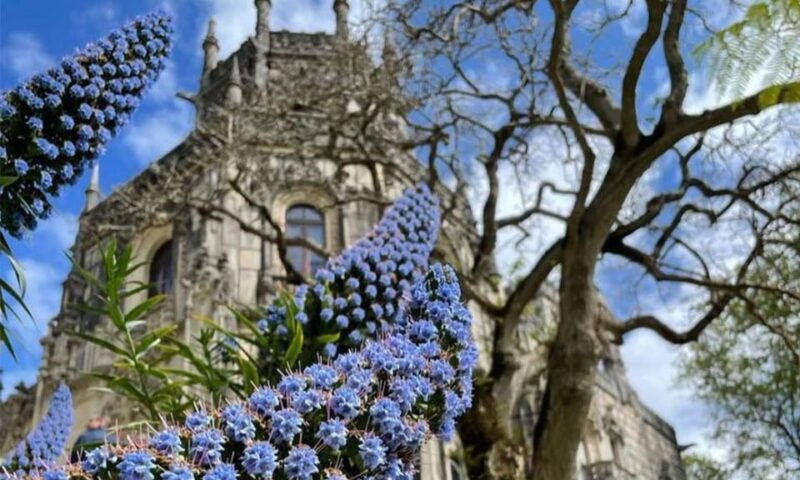 from-lisbon-sintra-pena-palace-and-regaleira-day-trip