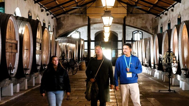 from-lisbon-sintra-pena-palace-cascais-and-wine-tasting