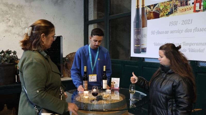 from-lisbon-sintra-pena-palace-cascais-and-wine-tasting