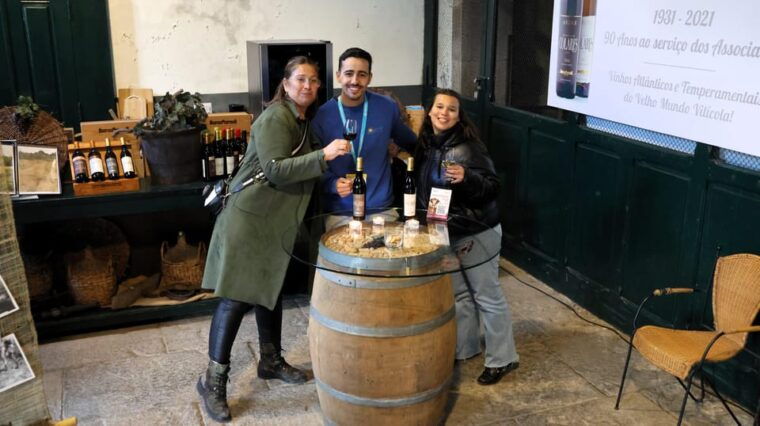 from-lisbon-sintra-pena-palace-cascais-and-wine-tasting