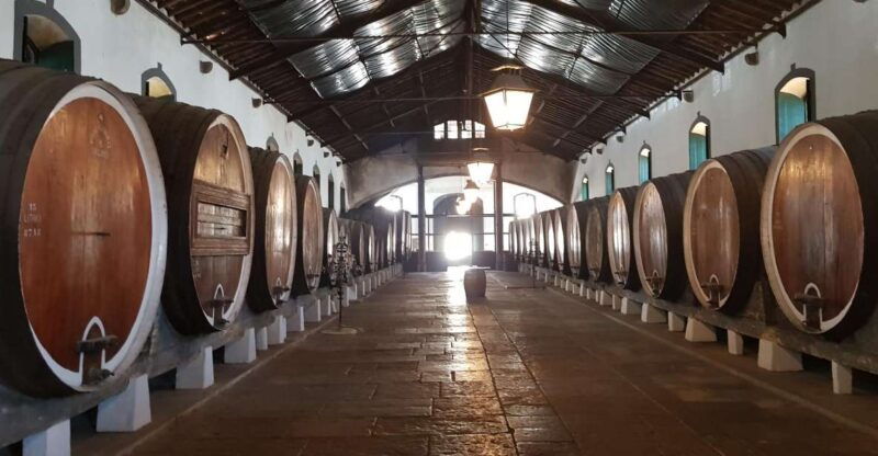 from-lisbon-sintra-wine-experience