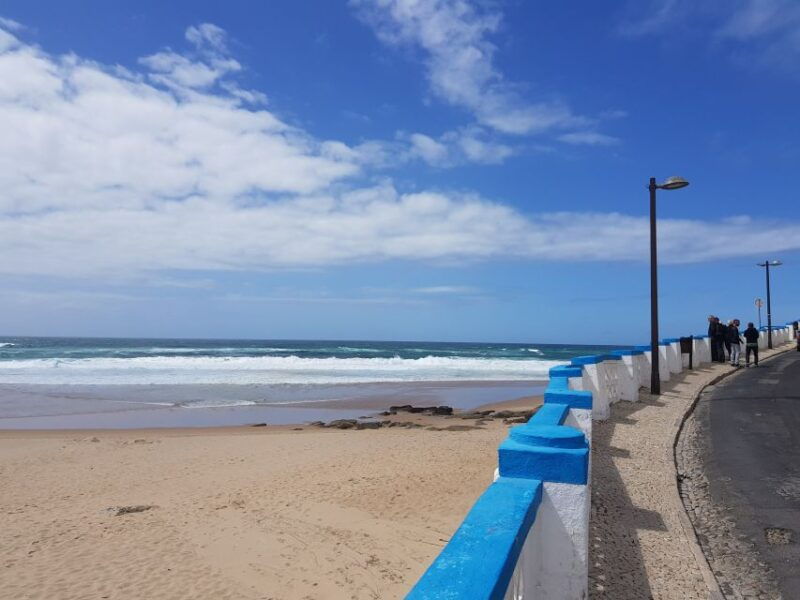 from-lisbon-sintra-wine-experience